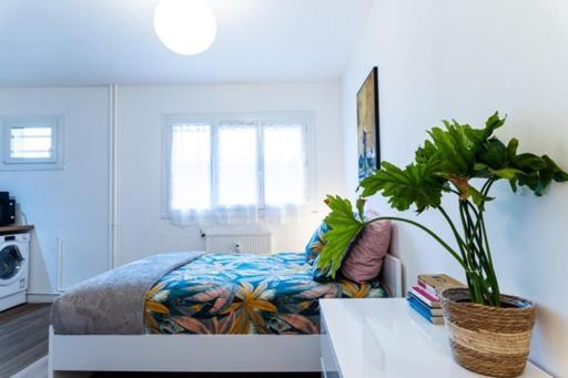 Apartamento Le Coquet - Balcon - Proche Gare - Parking Bourg-en-Bresse Exterior foto